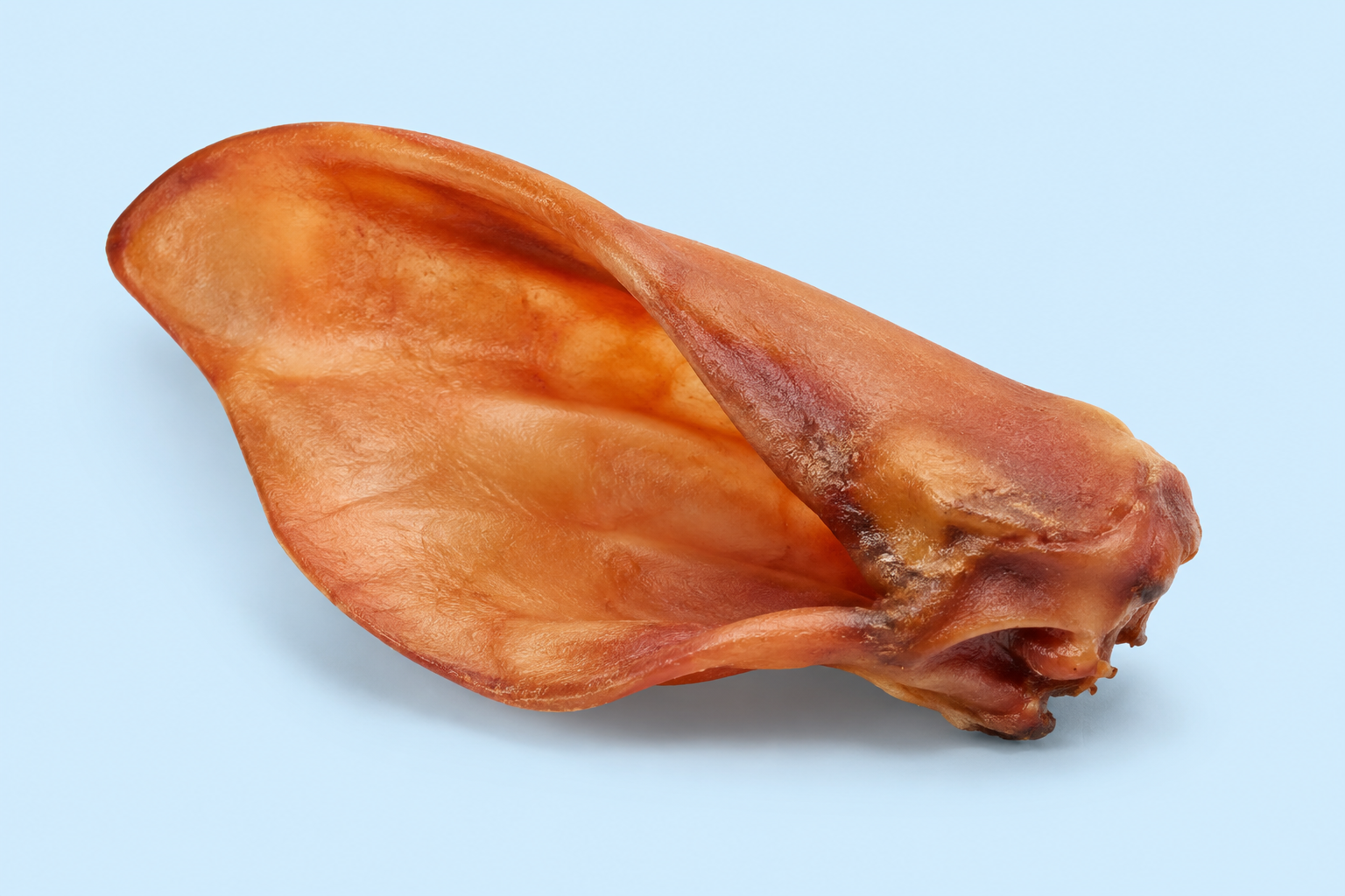 Oreille de porc