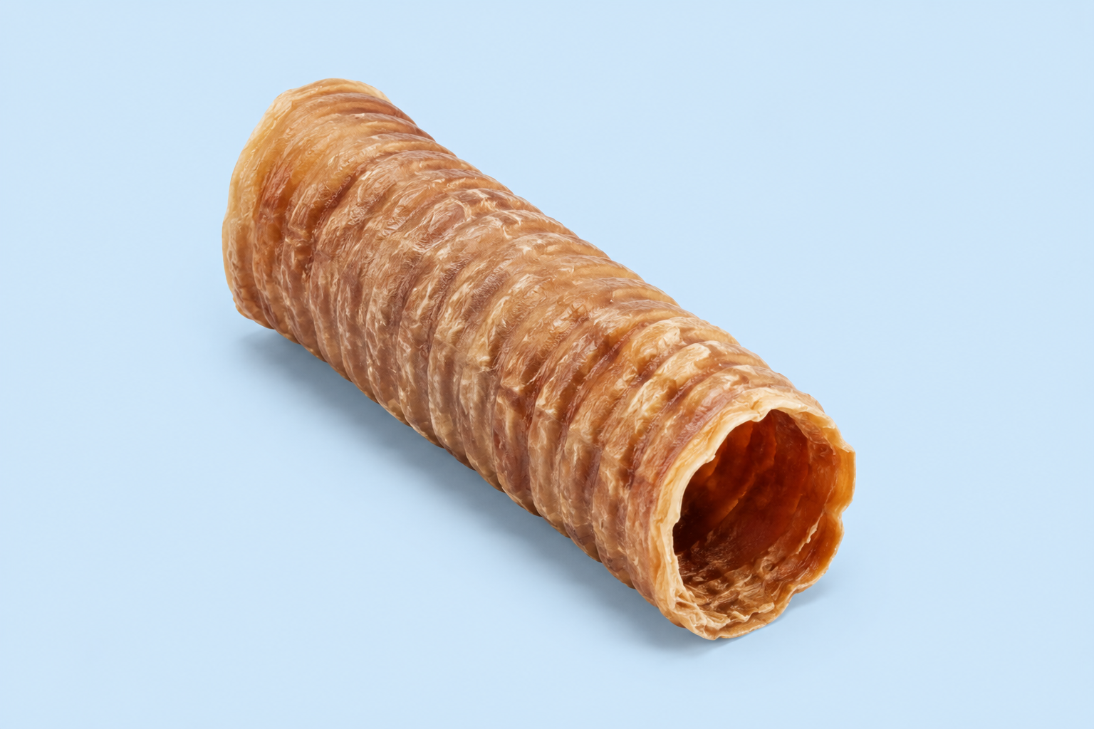 Trachée de bœuf